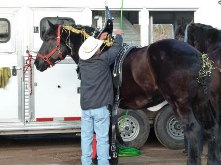 February 2013 Wickenburg Gold Rush Days Parade Photos