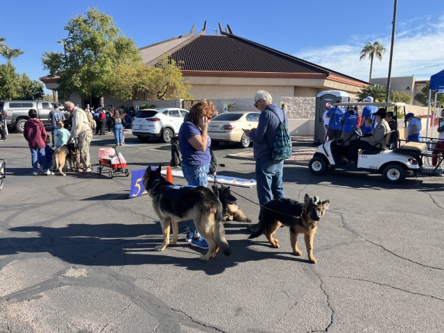 2024 Phoenix Veterans Day Photos